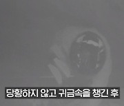 화단 쓰레기 더미 속 고가 귀금속 우르르…머리 굴린 절도범