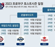 NC “1차전서 끝내자” 두산 “첫 업셋 일내자”… 오늘 WC 격돌