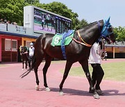 서울 1등급 경주마들의 1400m 대결, 서울경제신문배 22일 개최