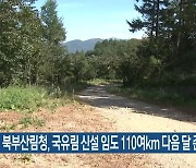 북부산림청, 국유림 신설 임도 110여km 다음 달 준공