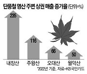 "단풍이 효자" 내장·주왕산 주변 매출 껑충