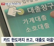 “한도까지 풀로 당겨쓰고 탕감받자”…개인회생 신청 직전 대출 급증