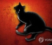 고양이 잔혹하게 죽이며 “깔깔”…‘동물판 N번방’ 경악