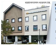 저성장 돌파구 찾는 보험사, 요양사업 '눈독'