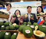 한국서 더 신선한 필리핀 아보카도 먹는다