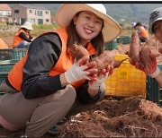 중앙그룹, 고구마 수확기 맞아 일손 돕기 나서…수확 작물 1톤 저소득층 아이들에게 기부