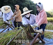 [포토] 탈곡 체험하는 어린이들