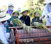 [포토] 양재천 ‘전통 가을걷이 체험행사’