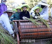 [포토] 전통 가을걷이 풍습 체험