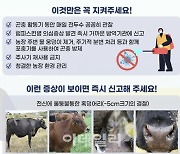 소 럼피스킨병 발생에 위기경보 '심각' 격상