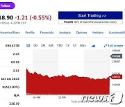 실적 실망+머스크 발언, 테슬라 9.30% 폭락(상보)