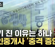 [자막뉴스] '수원 전세사기' 암암리에 다 알던 사실... 공인중개사 '충격 증언'