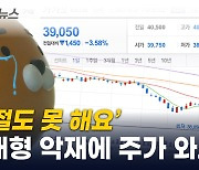 '국민주' 카카오의 몰락...주가 붕괴에 주주는 비명 [지금이뉴스]