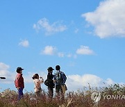 [내일 날씨] 서울 아침 5도…경기북부·강원내륙은 영하의 추위