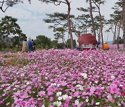 가을 축제 즐기면서 건강도 챙겨요!!