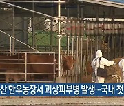 서산 한우농장서 괴상피부병 발생…국내 첫 사례