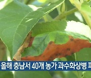 올해 충남서 40개 농가 과수화상병 피해