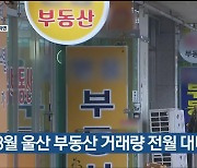 8월 울산 부동산 거래량 전월 대비 9%↓