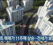 울산 아파트 매매가 11주째 상승…전세가 보합