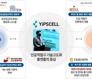 입셀 ‘인체 세포기반 인공혈액 생산기술 확보’ 국가 과제 선정