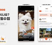 반려견주 필수앱 셀레브리독, 댕집사 맞춤 ‘멍톡’ 기능 오픈