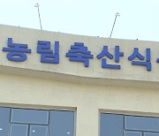 10월 20일 백브리핑 시시각각 헤드라인