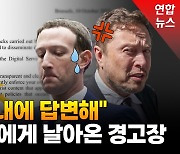 [영상] "허위정보 단속해" 거대 플랫폼에 경고장…서슬퍼런 EU