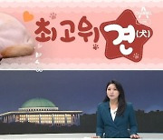 [여랑야랑]최고위견(犬) / 잠룡본색