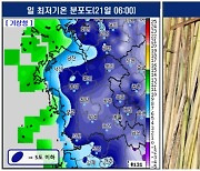 대전 첫 서리 관측, 올 가을 들어 가장 추워