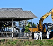 경기 평택에서도 럼피스킨병 확진…전국 축산농가 비상