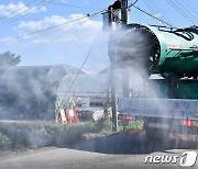 경기 평택 젖소 농장서 럼피스킨병 확진