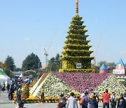 익산 천만송이 국화축제 20주년 개막