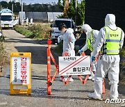 충남 서산서 '럼피스킨병' 또 나왔다…이틀 새 4번째 확진