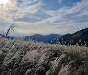 울산, 대체로 맑은 가운데 바람 강해 '쌀쌀'