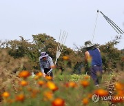 [내일날씨] 일요일도 아침 기온 낮고 강한 바람 불어 추워요