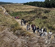 가을정취 물씬 신두리 사구축제