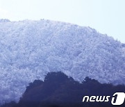 '깜짝 추위' 조금 풀리며 평년보다 포근…일교차 최대 15도 [이번주날씨]