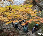 "이젠 북한산 단풍시즌"