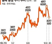 잘나가는 K라면… 증권가, 농심 목표가 상향