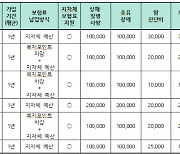 강원소방공무원 단체보험료 동일보장 제주 비해 2배 더 낸다