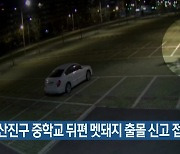 부산진구 중학교 뒤편 멧돼지 출몰 신고 접수