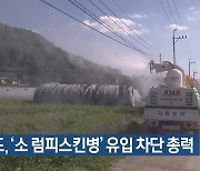 경북도, ‘소 럼피스킨병’ 유입 차단 총력