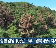 재선충병 감염 106만 그루…경북 45% 차지