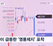 영풍제지 시세 조종에 "11개월간 100여 개 계좌 동원"