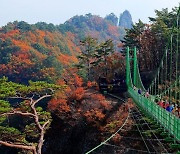 농익은 단풍 여행객 발길유혹…오색단풍이 물든 봉화로 오세요