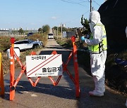 럼피스킨병 이틀새 4건 확진…전국 축산농가 비상