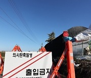 충남에 이어 경기까지..소 럼피스킨병 확산 축산당국 비상