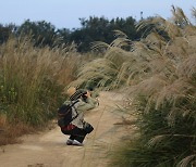 잡초만 무성했던 포항 인덕산, 장미·억새 군락 공원으로 변신