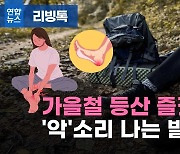 [리빙톡] 가을철 등산 즐겼는데…'악'소리 나는 발통증이?