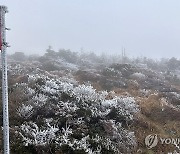 한라산은 겨울이에요…상고대 활짝